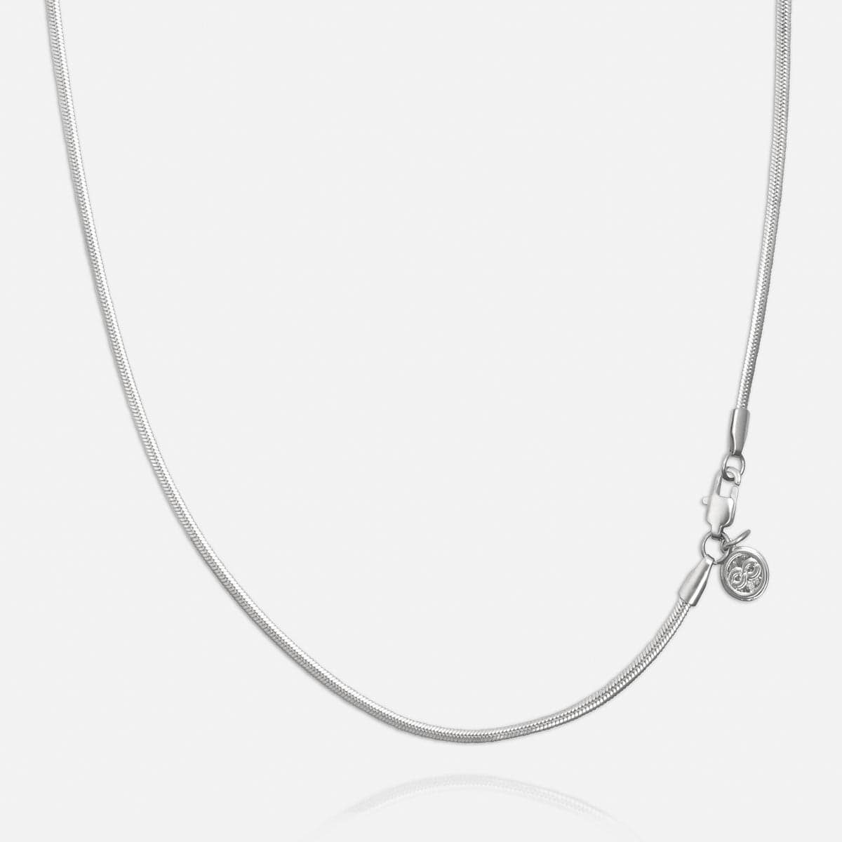 2MM Snake - Image 4